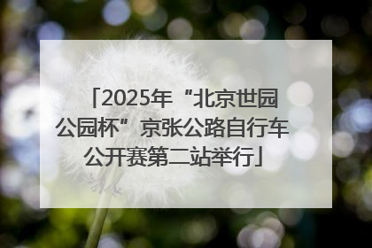 2025年“北京世园公园杯”京张公路自行车公开赛第二站举行