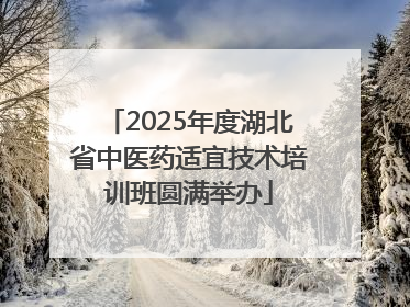 2025年度湖北省中医药适宜技术培训班圆满举办