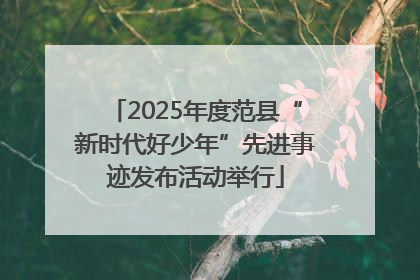 2025年度范县“新时代好少年”先进事迹发布活动举行