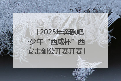 2025年奔跑吧·少年“西咸杯”西安击剑公开赛开赛