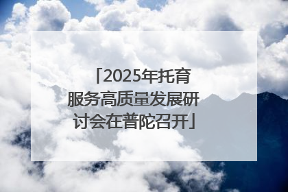 2025年托育服务高质量发展研讨会在普陀召开