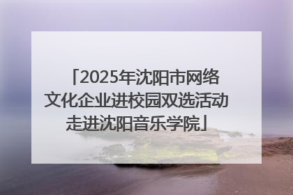 2025年沈阳市网络文化企业进校园双选活动走进沈阳音乐学院