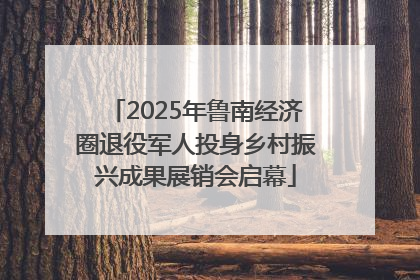 2025年鲁南经济圈退役军人投身乡村振兴成果展销会启幕