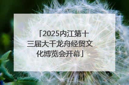 2025内江第十三届大千龙舟经贸文化博览会开幕