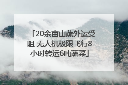 20余亩山蔬外运受阻 无人机极限飞行8小时转运6吨蔬菜
