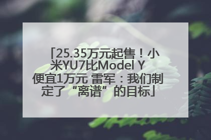 25.35万元起售！小米YU7比Model Y便宜1万元 雷军：我们制定了“离谱”的目标