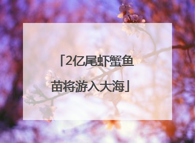 2亿尾虾蟹鱼苗将游入大海