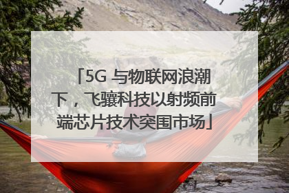 5G 与物联网浪潮下，飞骧科技以射频前端芯片技术突围市场