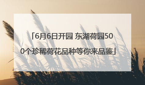 6月6日开园 东湖荷园500个珍稀荷花品种等你来品鉴