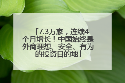 7.3万家，连续4个月增长！中国始终是外商理想、安全、有为的投资目的地