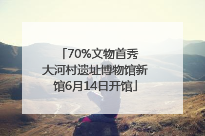 70%文物首秀 大河村遗址博物馆新馆6月14日开馆