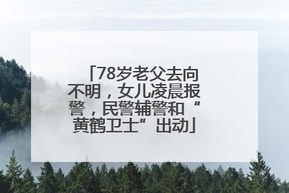 78岁老父去向不明，女儿凌晨报警，民警辅警和“黄鹤卫士”出动