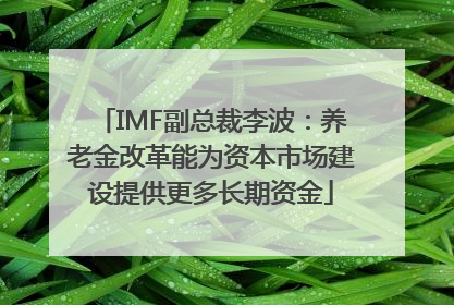 IMF副总裁李波：养老金改革能为资本市场建设提供更多长期资金