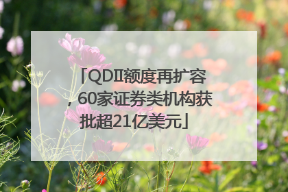 QDII额度再扩容，60家证券类机构获批超21亿美元